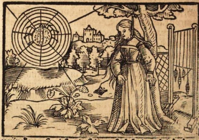Von dem Kunstreichen weib Arachne