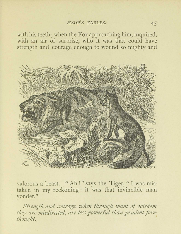 The Fox and the Tiger