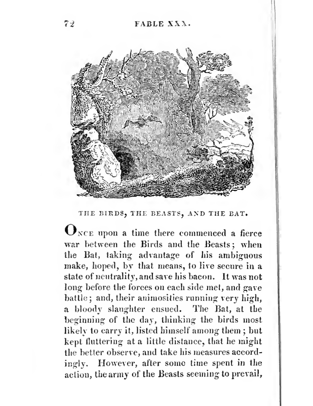 The Birds, the Beasts, and the Bat