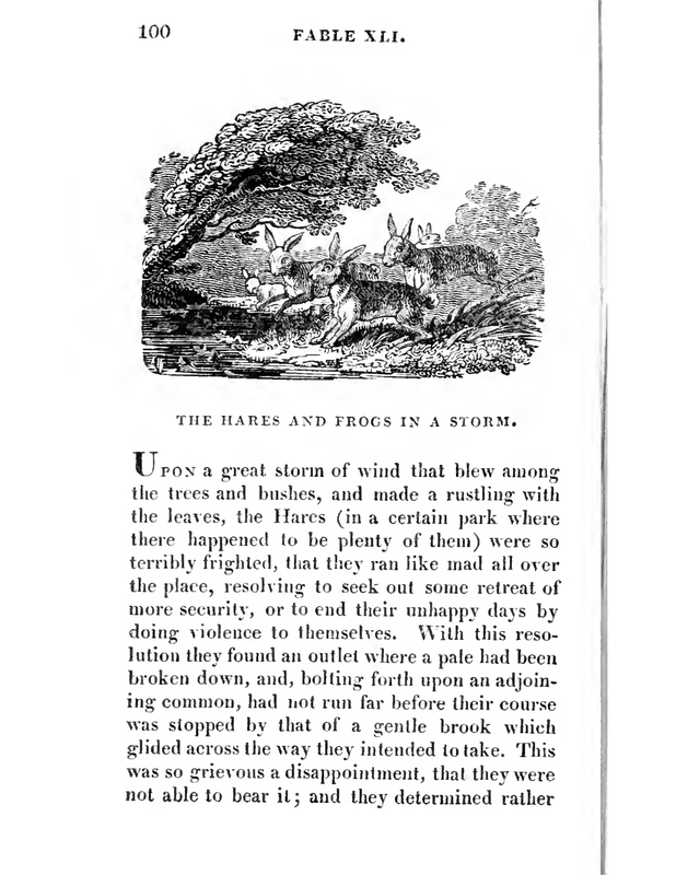 The Hares and Frogs in a Storm
