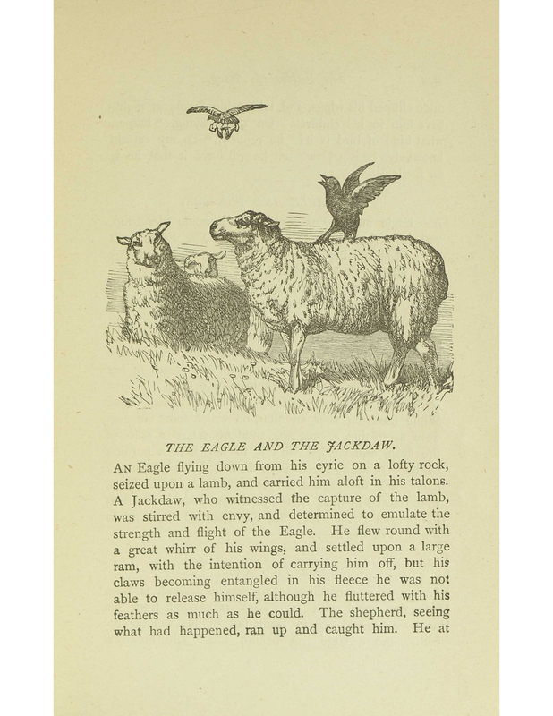 The Eagle and the Jackdaw