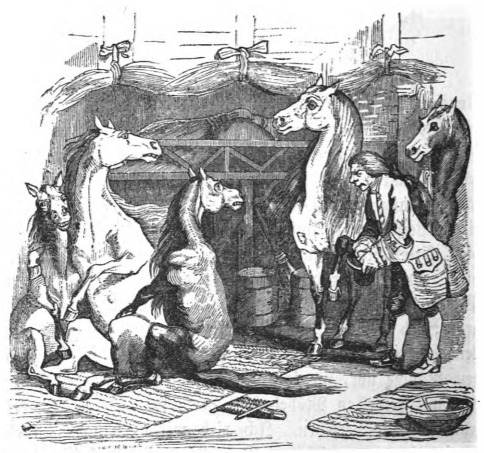 [Gulliver is introduced to the Houyhnhnms of the household]