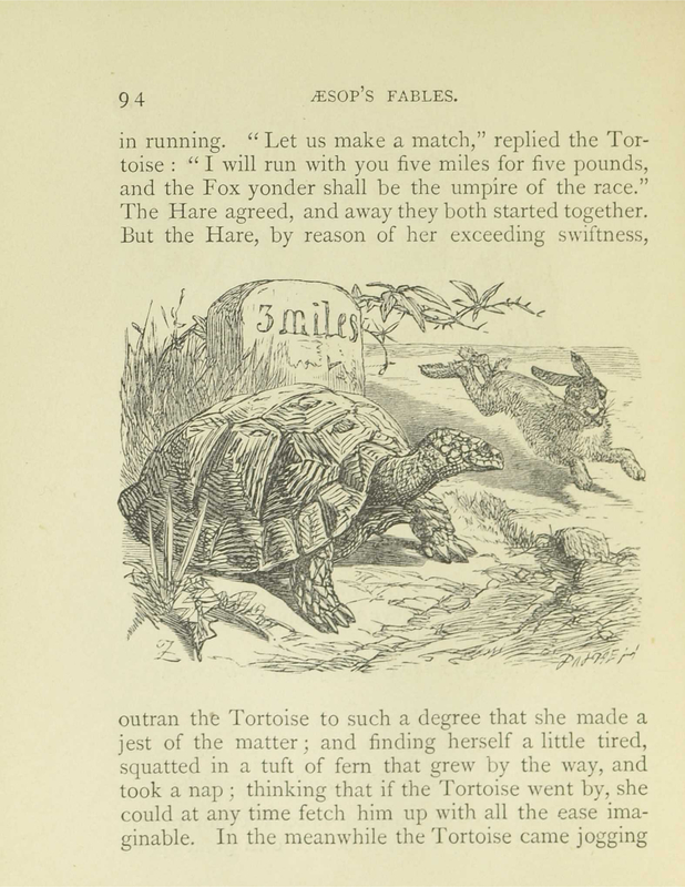 The Hare and the Tortoise