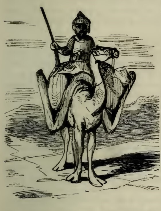 [Vanity Fair Chapter XXIII Inhabited Initial]