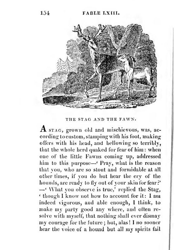 The Stag and the Fawn