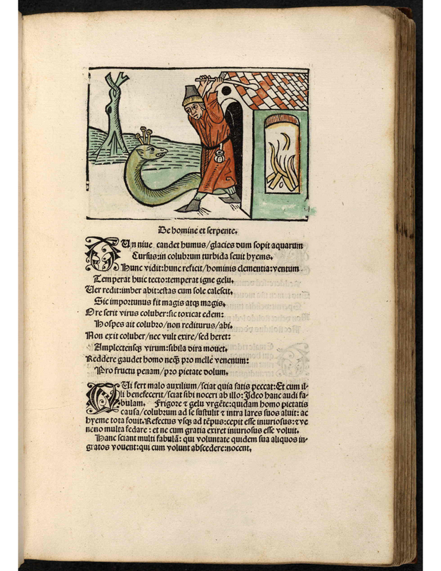 Be bomine et serpente