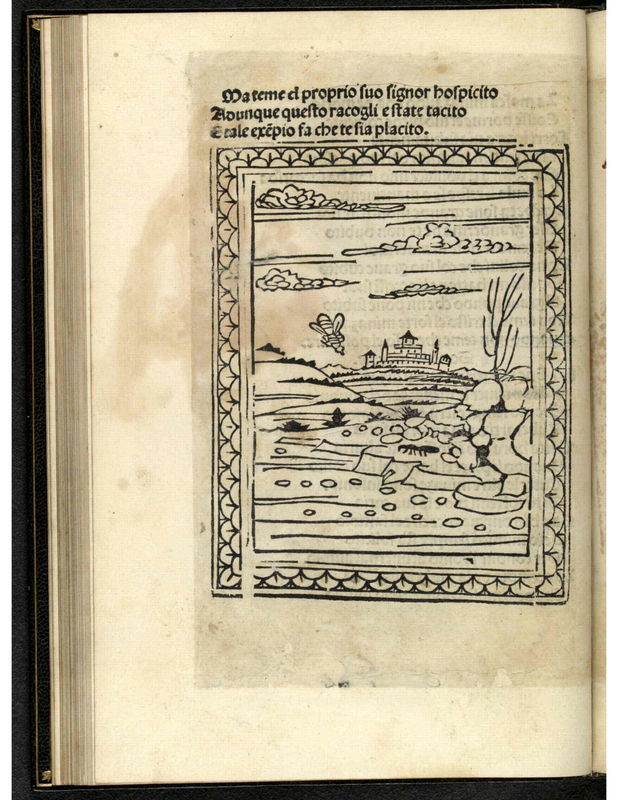 [A Town in the Distance, Insects and Hills]