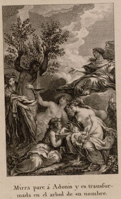 Mirra pare a Adonis y es transformada en el arbol de su nombre