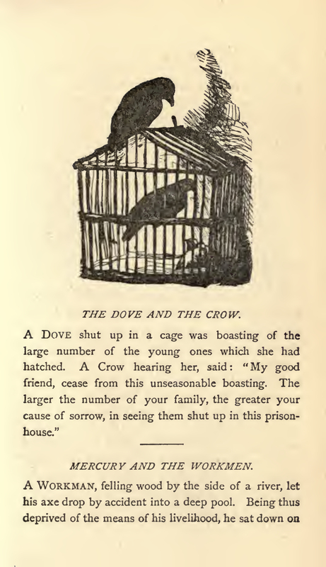 The Dove And The Crow