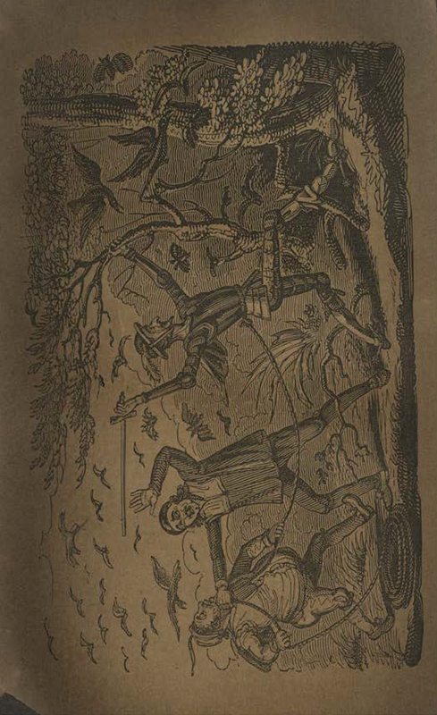 [Of How Don Quixote and Company Were Frightened by Bats Emerging from the Cave of Montesinos]