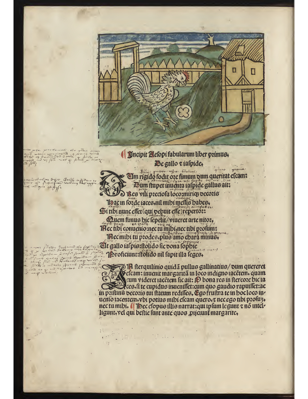 Incipit Aelopi fabularum liber pzimus. De gallo y ialpide.