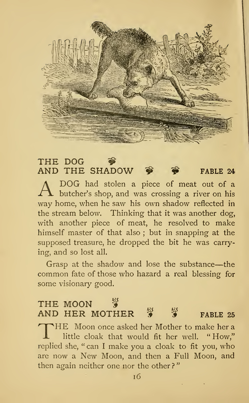 The Dog and the Shadow