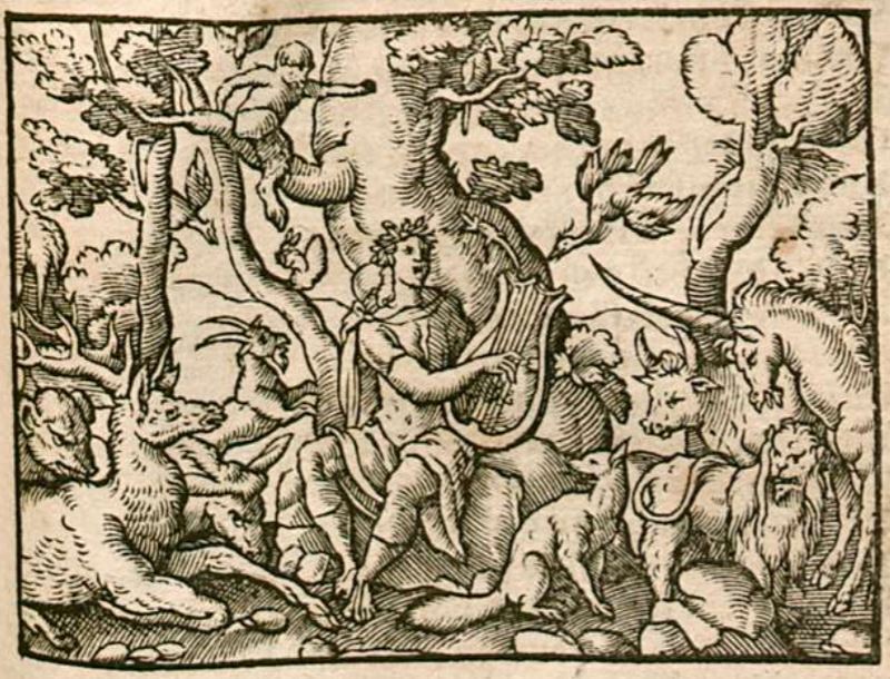 Orpheus spielt mit der Harpssen