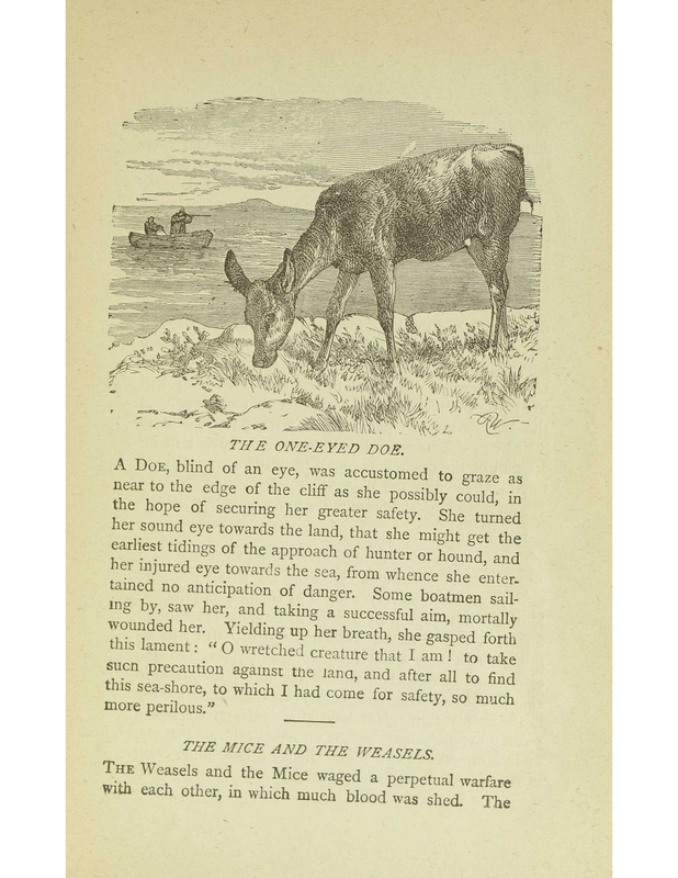 The One-Eyed Doe