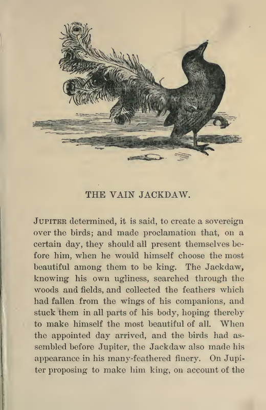 The Vain Jackdaw