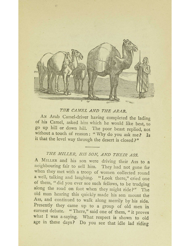 The Camel and the Arab