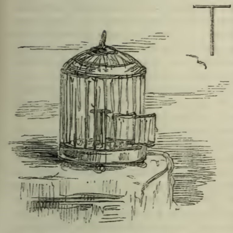 [Vanity Fair Chapter L Inhabited Initial]