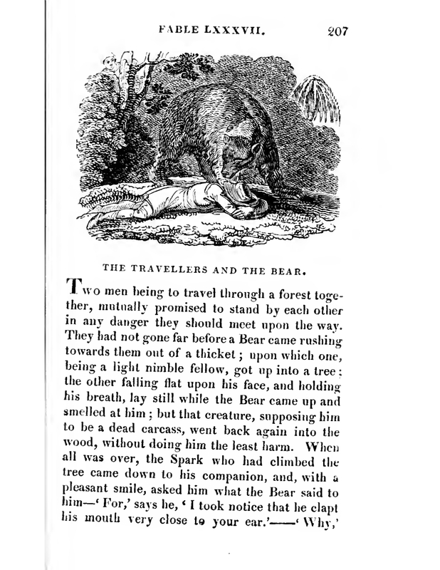 The Travellers and the Bear