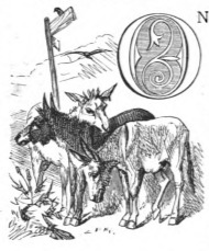 [Donkeys from the Country of the Houyhnhnms]