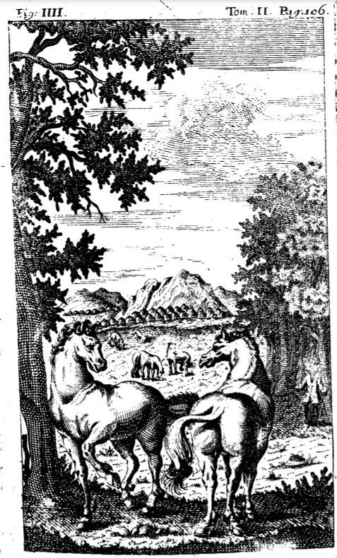 Fig: IIII. Tom: II. pag: 106
