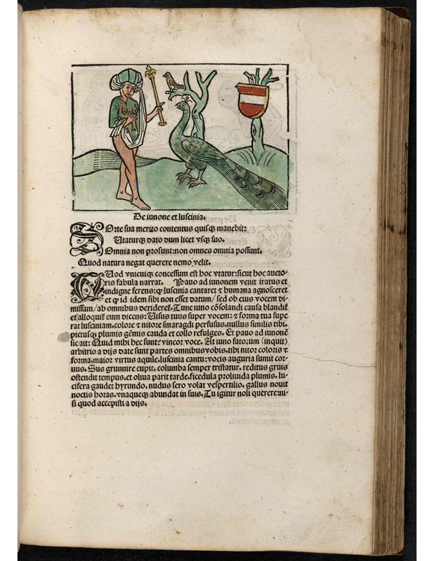 Be iunone et lufcinia