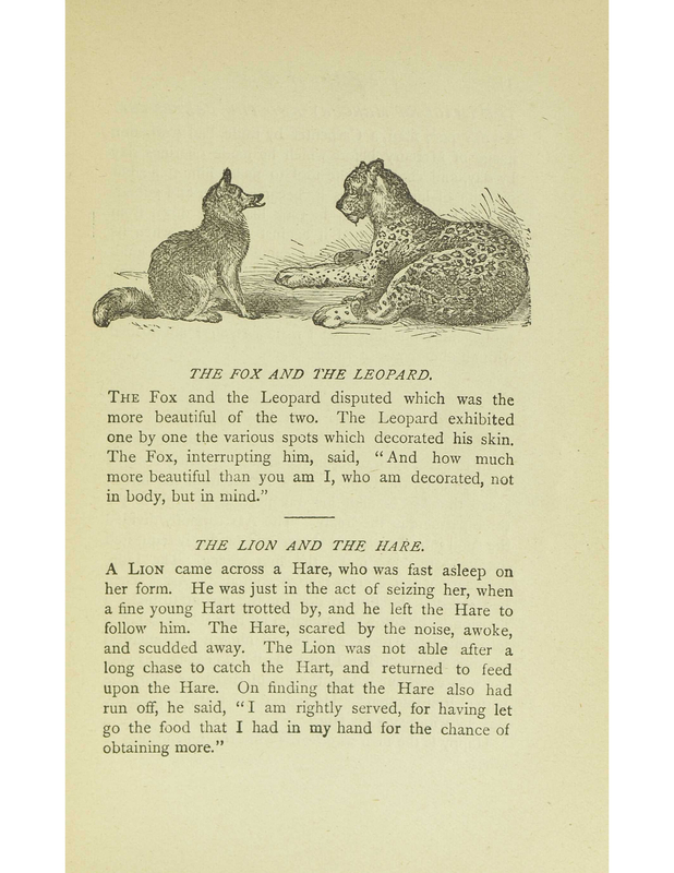 The Fox and the Leopard
