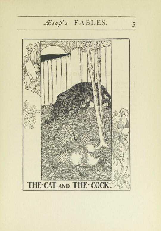 The Cat and the Cock