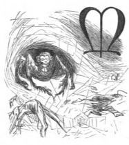 [Lawyers depicted as spiders]