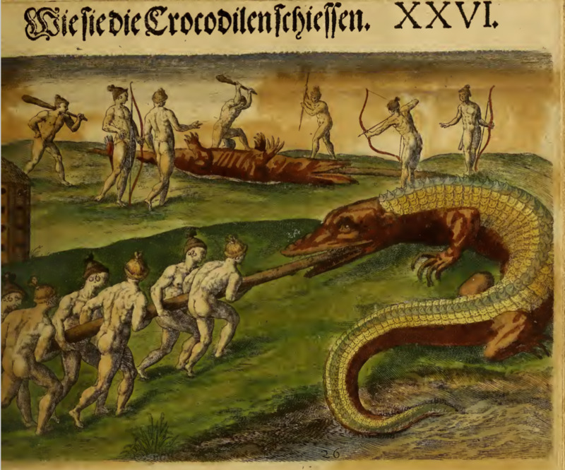 Wie sie die Crocodilen schiessen. XXVI.