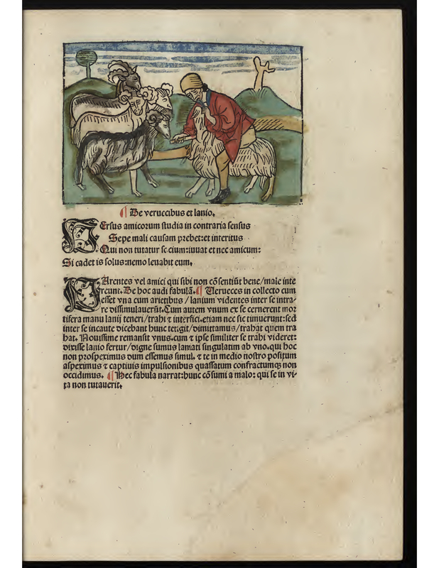 Le veruccibus et lanio