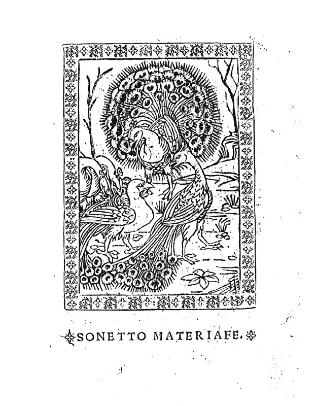 De Graculo et Pauonibus. Fabulla XXXVII