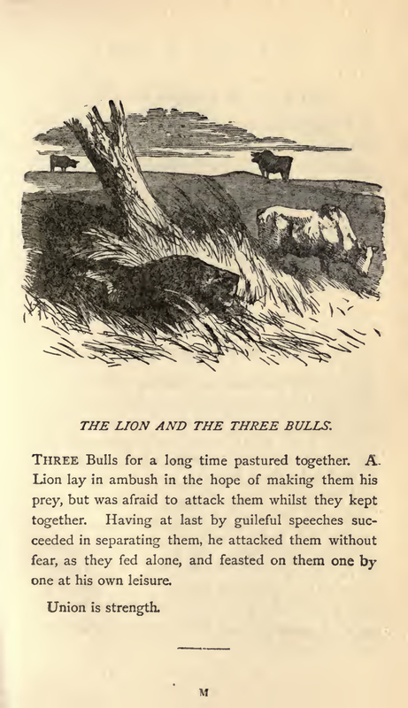The Lion and the Three Bulls