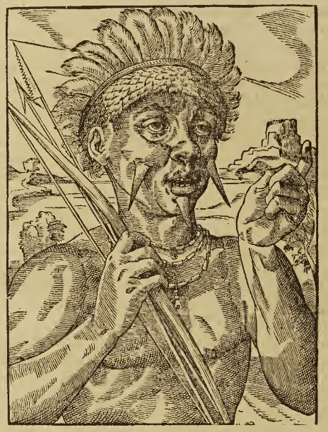 Pourtraict d’un Roy des Canibales.