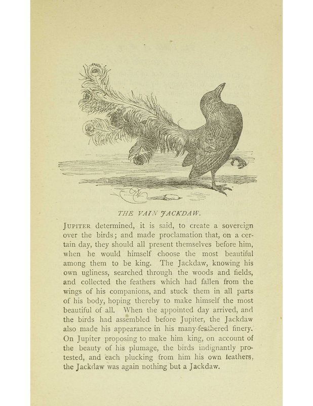The Vain Jackdaw