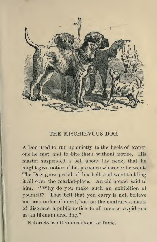 The Mischievous Dog