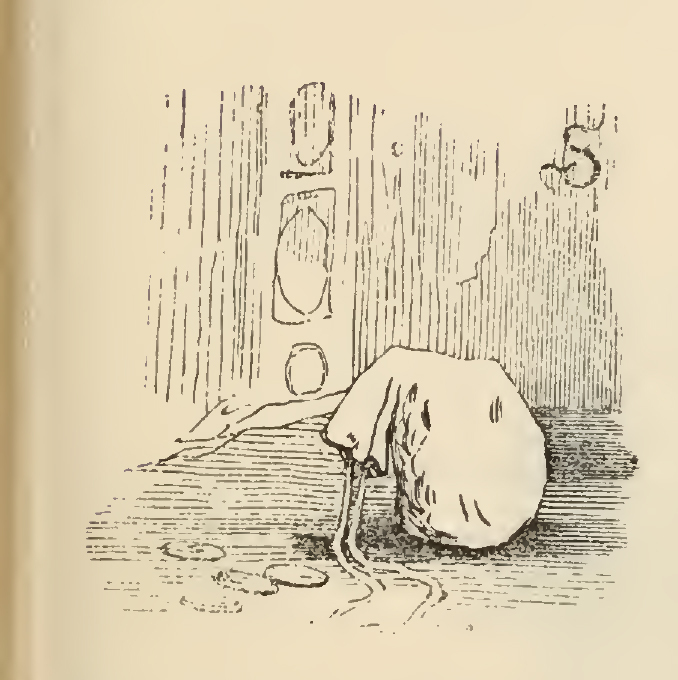 [A Bag of Coins]