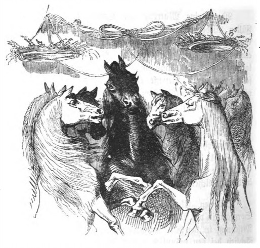 [a group of Houyhnhnms]