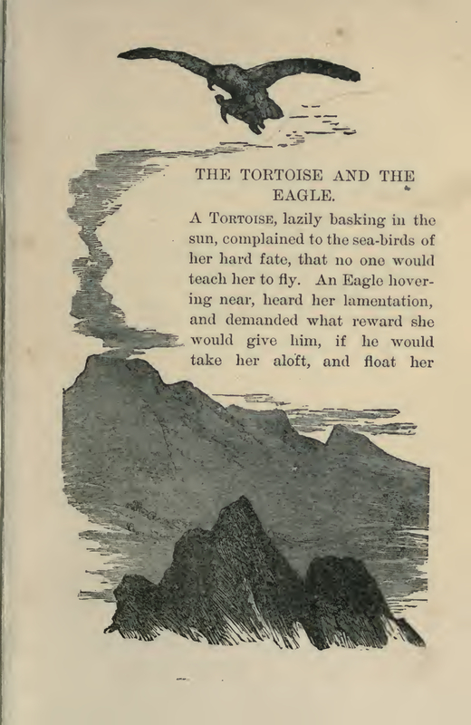 The Tortoise and the Eagle