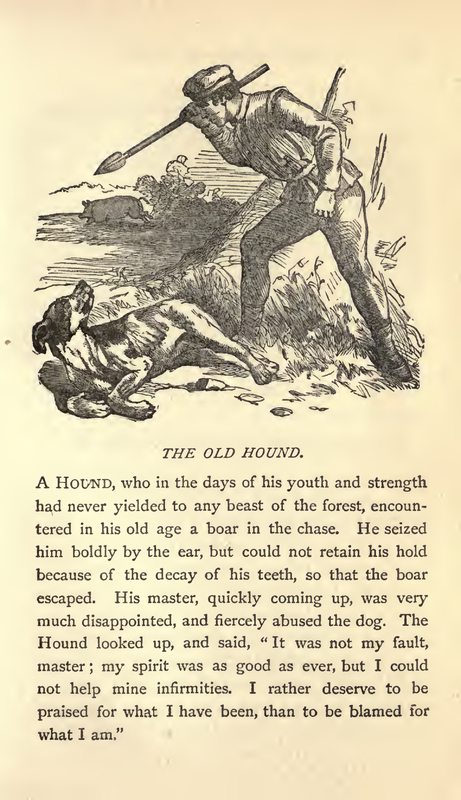 THE OLD HOUND