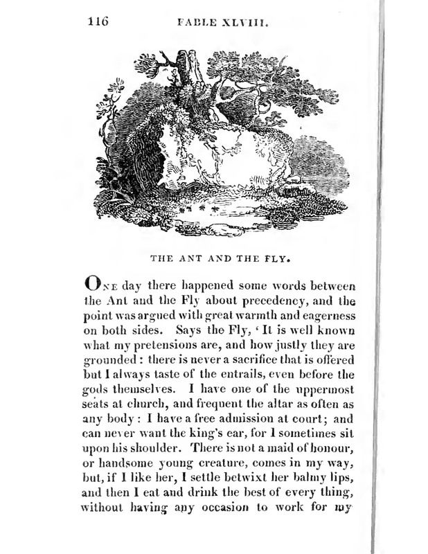 The Ant and the Fly