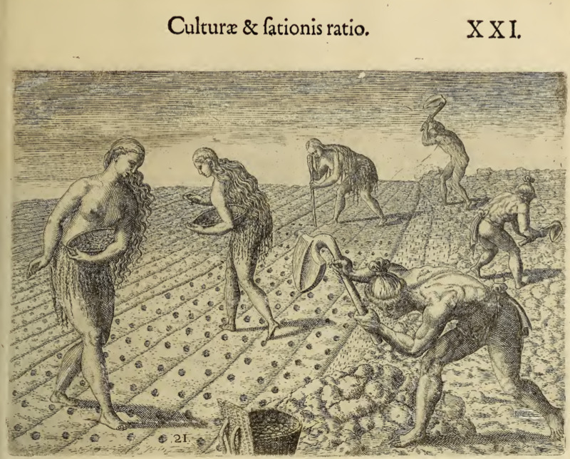 Culturae & sationis ratio. XXI.