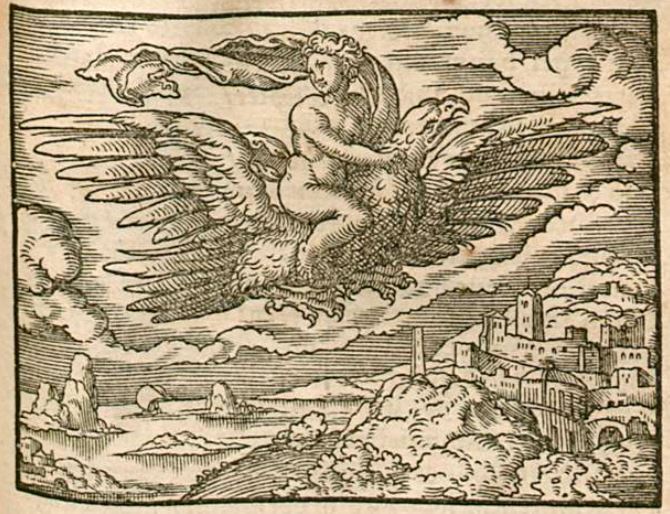 Ganymedes wirt in Himmel auffgezogen