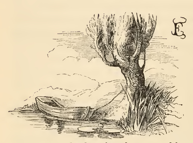 [The 'Enchanted Boat' Tied to a Tree]