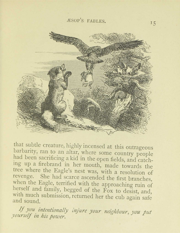 The Eagle and The Fox