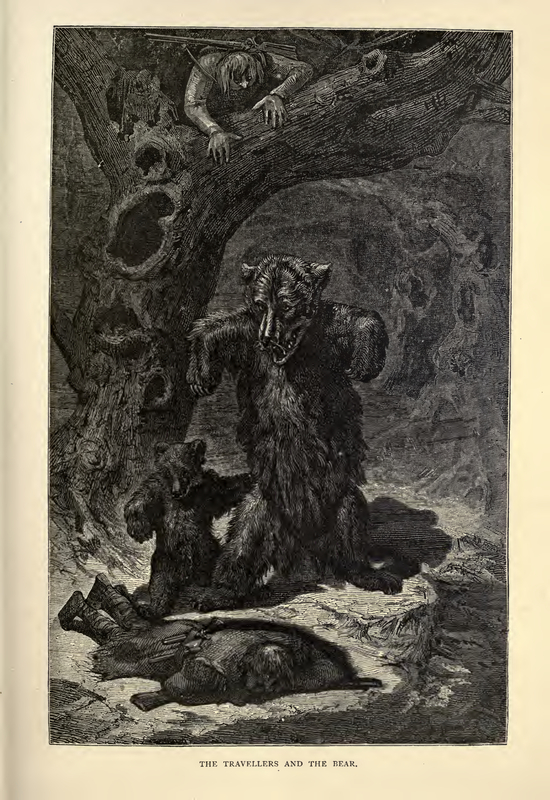 The Travellers and the Bear