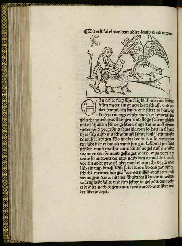 [Eagle takes sheep]