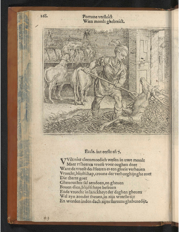 Hert ende ossen