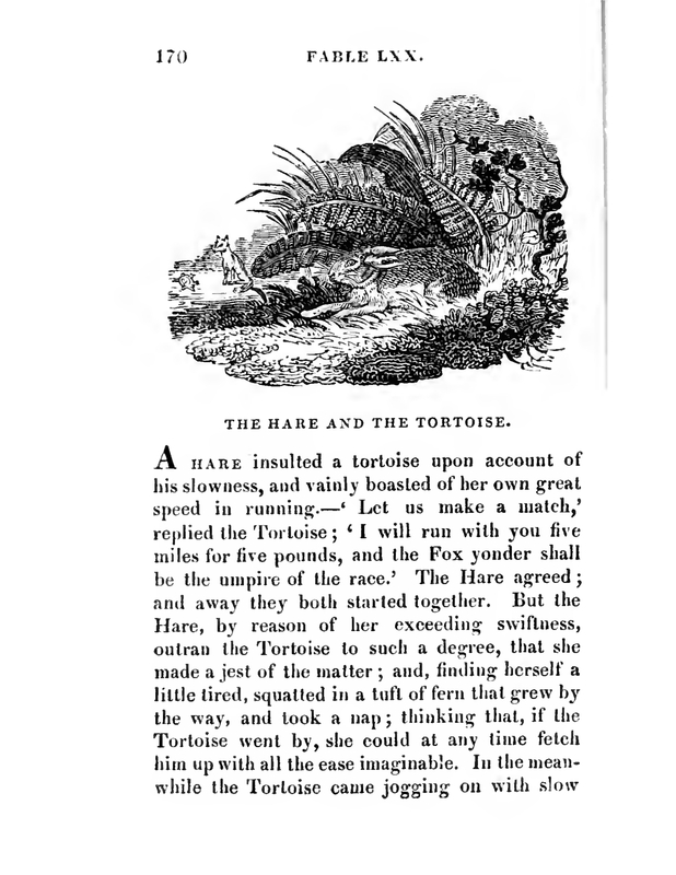 The Hare and the Tortoise