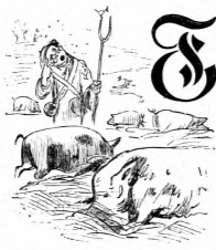 [A farmer from Balnibarbi]