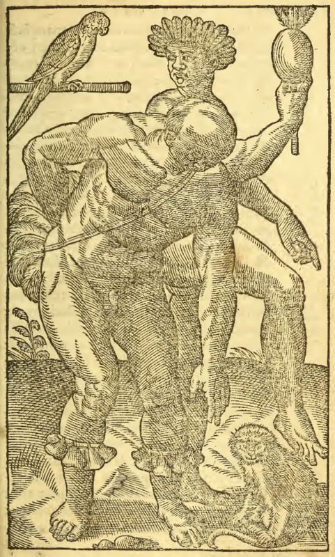 [Two Tupinambá men with a parrot and a monkey]
